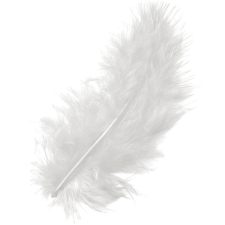 PLUMES BLANC