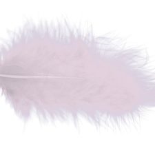 PLUMES ROSE PALE