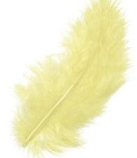 PLUMES JAUNE PALE